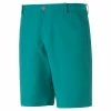 Puma Dealer Shorts - 8 Inch -Golf Shirts Shop puma dealer shorts 8 inch green lagoon 01 45074.1678213419