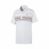 Puma Mattr Canyon Polo 2 Puma Mattr Canyon Polo -Golf Shirts Shop puma mattr canyon polo white ski patrol 01 01051.1662137881